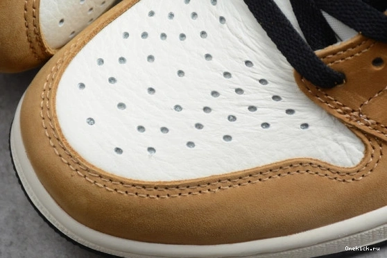 Jordan GoAnywhere 1 Og 'Rookie Air 254 High  Retro The Year' of 555088-700 555088-700 0523